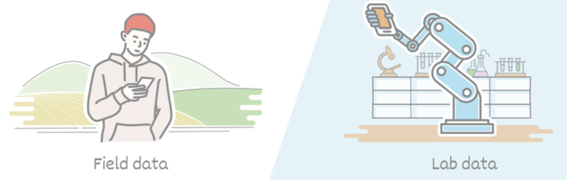 Core Web Vitals: Field data vs lab data explained